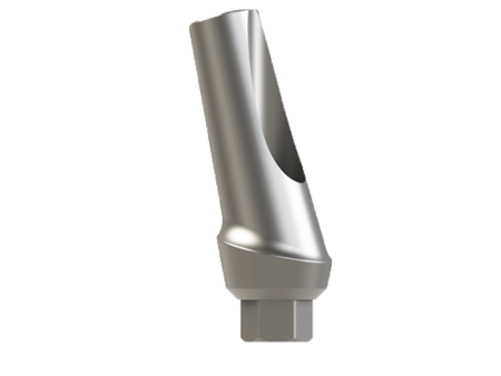 15° Angular Anatomic Titanium Abutment for Internal Hex Dental Implant Hot on Sale