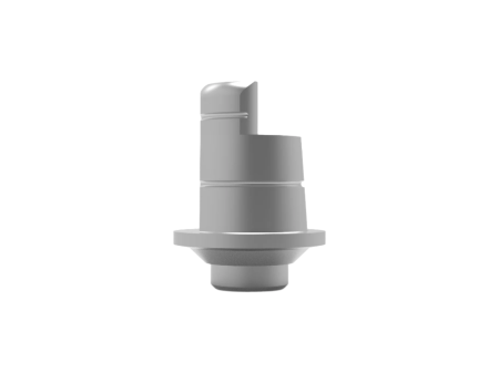 Cad Cam Rotational Ti-Base Abutment for Internal Hex Dental Implant on Sale